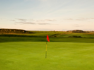 club image
